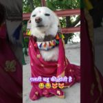#funny #comedy #sorts #trending #virelshorts #dog#pet#youtubeindia#superhitcomedy#yt