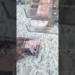 動画遅れてごめんね💦こんな感じでも仲良くしてくれるのやさしすぎ！ #雰囲気ゲー #生活音 #メイク #人気になりたい #preppy #メイクライセンス