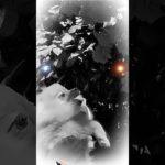 #복실이 #puppy #cutedog #狗狗 #犬 #かわいい犬 #강아지 #pet #宠物 #ペット #dogshorts #애견영상 #puppyshorts #강아지여름 #pomeran