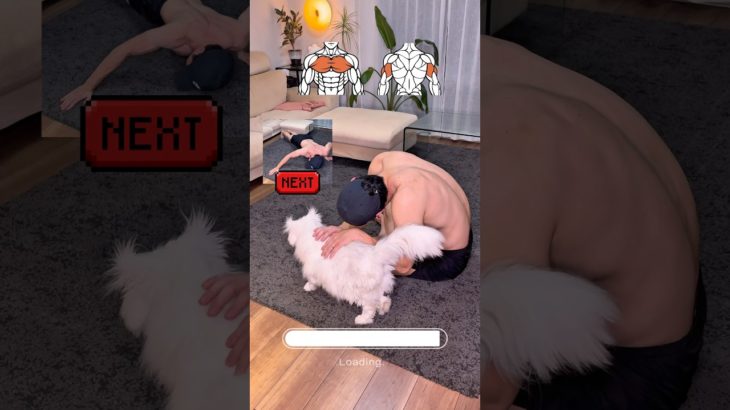 push-up variation🔥#shorts #ジムハック#筋トレ #ダイエット #健康 #gymhack #猫 #cat