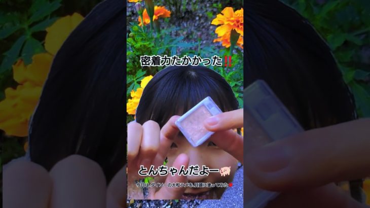 ダイソーの、アイシャドウ使ってみた♥密着力たかかった‼️おすすめ　　　　　　とんちゃん🐖だよー#メイク #ダイソー#shorts #美容
