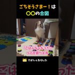 ごちそうさまー！は〇〇の合図【会話ボタンでしゃべる犬】 #shorts #犬