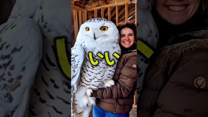 あなたが一生飼いたいペットはどれですか? #shorts