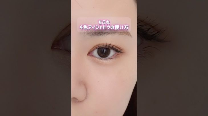 【ちふれ】４色アイシャドウの使い方👀💕#shorts #ちふれ #美容 #コスメ #メイク #垢抜け #プチプラ #アイメイク #アイシャドウ #beauty #化粧品 #プチプラコスメ