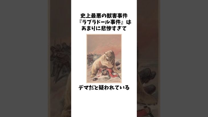 ラブラドール事件 #ペット #ラブラドールレトリバー