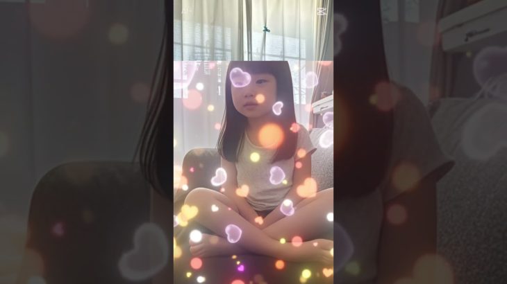 すごいことになった　#猫 #ペット #可愛い