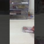 #ひいまる #コスメ #生活音 #メイク #バズれ