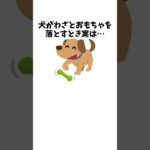 犬ってこんなに賢いの？と思った瞬間　#犬 #ペット #雑学