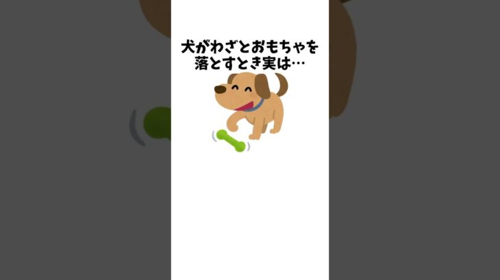 犬ってこんなに賢いの？と思った瞬間　#犬 #ペット #雑学