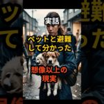 【実話】ペットと避難して分かった想像以上の現実　#南海トラフ #地震対策 #防災 #防災グッズ #ペット #命を守る