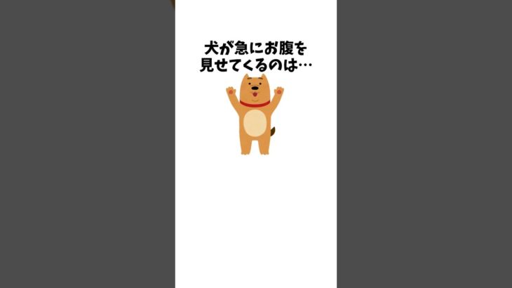 犬のあざと可愛い行動集　#犬 #ペット #雑学