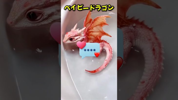 どのペットを選びますか？