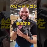 飼ってみたいペットはどれ？