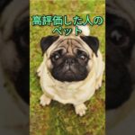 〇〇した人のペット #ゆっくり #ばずれ #バズれ #バズれー #ペット #犬