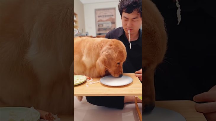 早食い #ペット