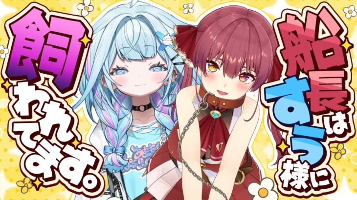 マリン船長、後輩のすう様にペットにされてる件について【ホロライブ/宝鐘マリン・水宮枢】