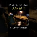 【奇跡】拾ったペットボトルに仕掛け付けて釣りしたらまさか過ぎる大物が釣れた！！