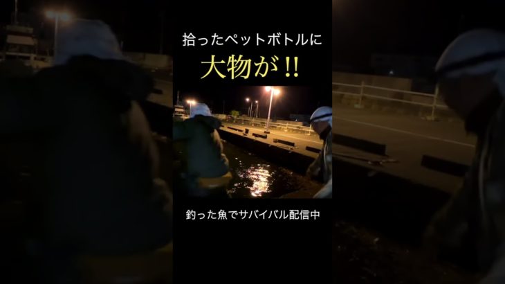 【奇跡】拾ったペットボトルに仕掛け付けて釣りしたらまさか過ぎる大物が釣れた！！