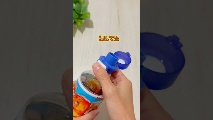 【ペットボトルの救世主】ダイソー　ワンプッシュ！ペットボトルキャップ