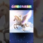 #心が癒される動画#和み#癒し#安らぐ#ペット#ペガサス