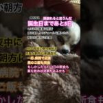 #動物の涙 #ペット #犬 #チワワ