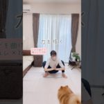 【ダイエット】運動する前にコレ見直して‼️下腹ポッコリは脂肪じゃなくて◯◯が原因#ダイエット#お腹痩せ #下腹部痩せ #反り腰 #下腹痩せ #お腹やせ #簡単ストレッチ #体操 #アラフォー