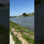 『食育』と『ダイエット』