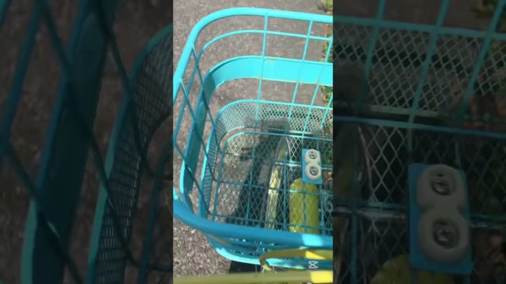 たのしいね。#コスメ #人気になりたい #メイク #メイクライセンス #ルーティン #雰囲気