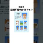 犬版、証明写真ガイドライン　#犬 #ペット #雑学