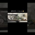 トカゲのvlog #ニシアフ#トカゲ #爬虫類 #ウーパールーパー #ペット #レオパ #tiktok #可愛い#pardgeckogec#africanfattailedgecko#axolotl