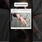 こんな事あるんだw #shorts #おもしろ #かわいい #猫 #ペット