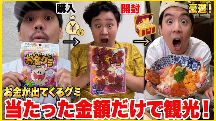 「お金が出てくるグミ」から出た金額だけで東京観光したら差が凄すぎて天国と地獄旅になったwww