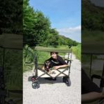 愛犬のペットカートがあまりにも良すぎたwww #shorts