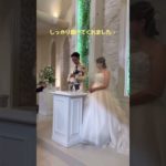 愛するペット大活躍の1日🐶🐾#セントアベニール #結婚式 #ペットウェディング #リングドッグ#リングキャット#肉球スタンプ