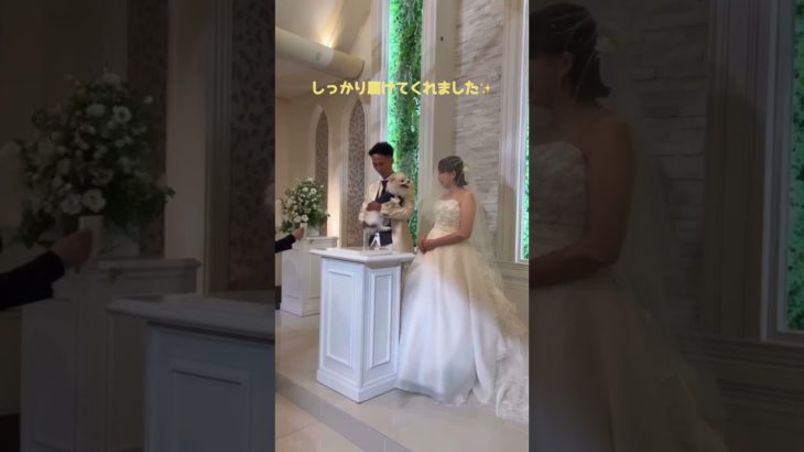 愛するペット大活躍の1日🐶🐾#セントアベニール #結婚式 #ペットウェディング #リングドッグ#リングキャット#肉球スタンプ