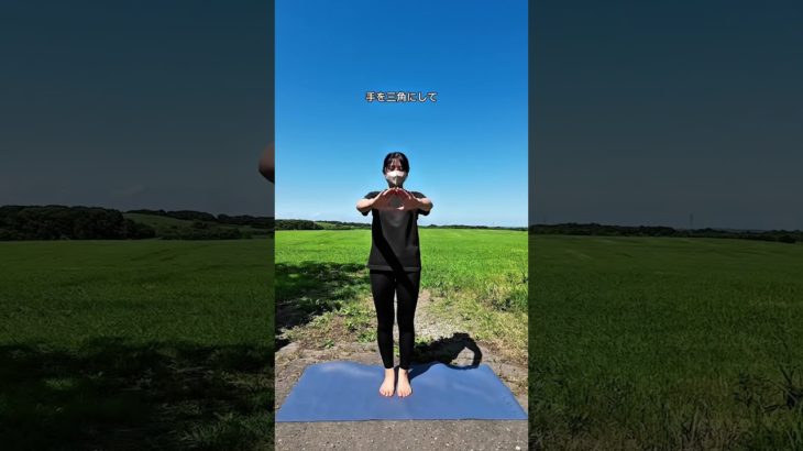 反り腰診断#100日ダイエット #ダイエット #ダイエット仲間募集 #くびれ #公開ダイエット #反り腰