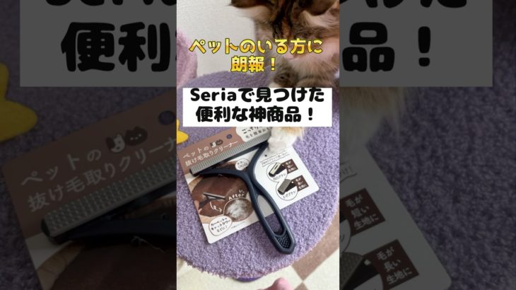 【セリア】100均の神アイテム！？ペットの毛がごっそり！　#shorts #cat #猫　#猫のいる暮らし  #セリア  VOICEVOX:小夜/SAYO