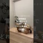 1週間検証！冨永愛さんトレで、太腿と下腹どれだけ痩せる？【28日目】