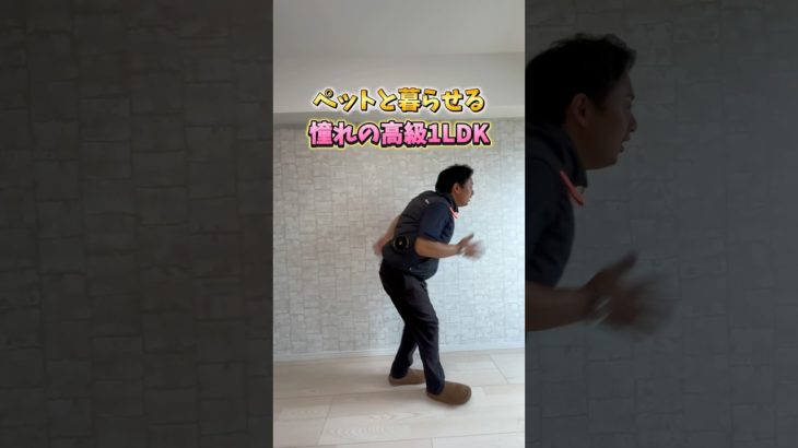 周南市慶万町にあったペット可の1LDKが想像以上に良かった✨🐕#山口県 #賃貸 #周南市#徳山駅#お部屋探し#不動産#内見 #roomtour #ルームツアー #下松市