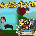 4兄妹でピンチを切り抜けろ！？フィッシャーズピンチ50連発！！Switchゲーム実況himawari-CH