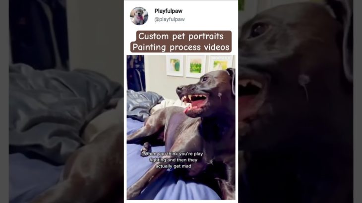 Custom pet portraits by artist Gulchik Art — made with heart, and beautiful painting process videos