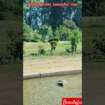 #Discover# the Hidden Beauty of Mughal Garden! 🌿 Lush meadows, cool breeze & pure peace await you!💚