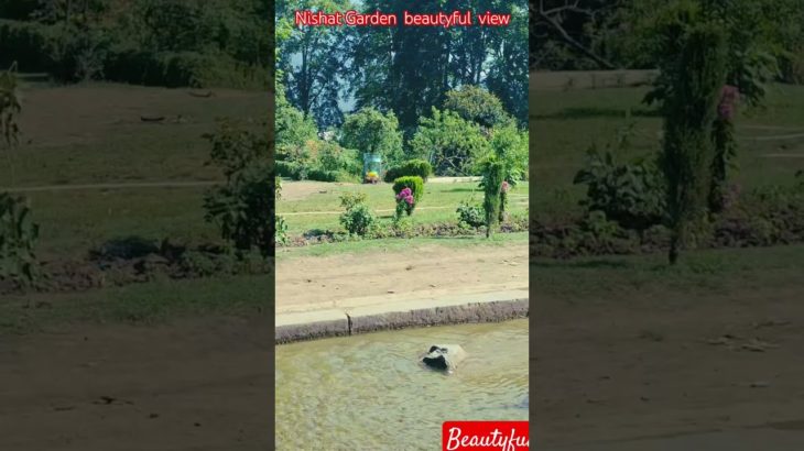 #Discover# the Hidden Beauty of Mughal Garden! 🌿 Lush meadows, cool breeze & pure peace await you!💚