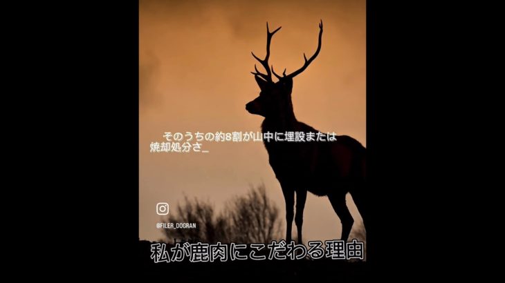 FILER 鹿肉へのこだわり