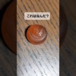 #お金グミ#フィッシャーズ#Fischer’s#グミ