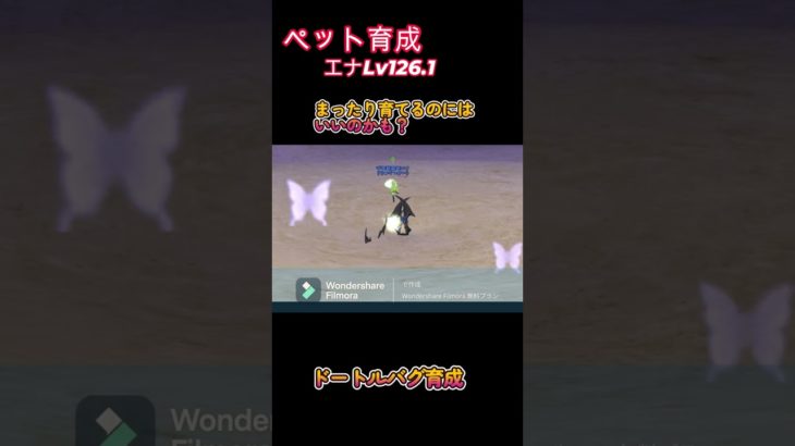 【MOEペット育成】エナLv126.1