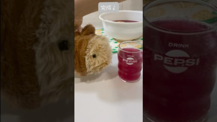 もふのこ🌼クッキング#しそジュース#ペット動画 #かわいい動物#赤ちゃん#モフリン#Moflin#ロボット#ペット#CASIO#カシオ#pets #ゴールド#ペット禁止でも飼える