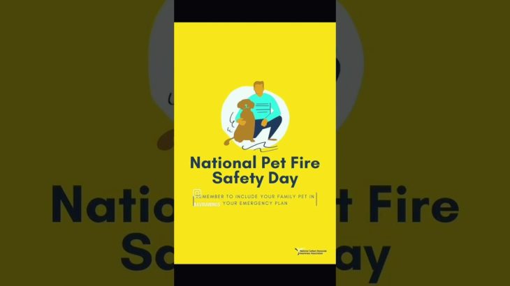 National Pet Fire Safety Day 🔥🐾 | Protect Your Pets from Fire Hazards
