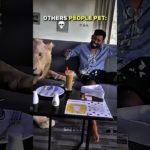 Others People Pet VS Last Pet💀