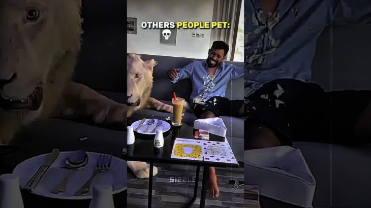 Others People Pet VS Last Pet💀